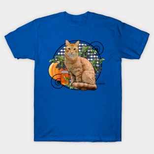 Marmalade Cat T-Shirt